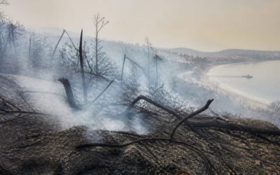 Incendiile din sudul Europei au provocat mii de evacuări și moartea a doi pompieri greci