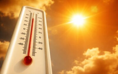 Cod roșu de caniculă în vestul țării după ce termometrele au atins 41 de grade Celsius