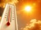 Cod roșu de caniculă în vestul țării după ce termometrele au atins 41 de grade Celsius