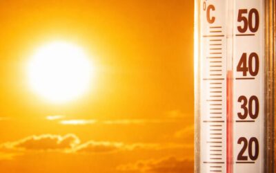 Val de căldură în România marți, cu temperaturi de până la 41 de grade Celsius în vestul țării