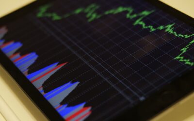 400 de participanți intră în ultima săptămână a simulării. Liderul are un randament de 5,35%